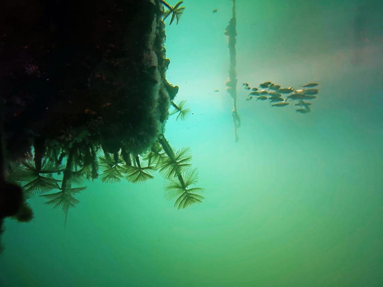  Podmornica Nemo Grčka 